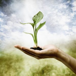 Gestion y marketing para terapeutas